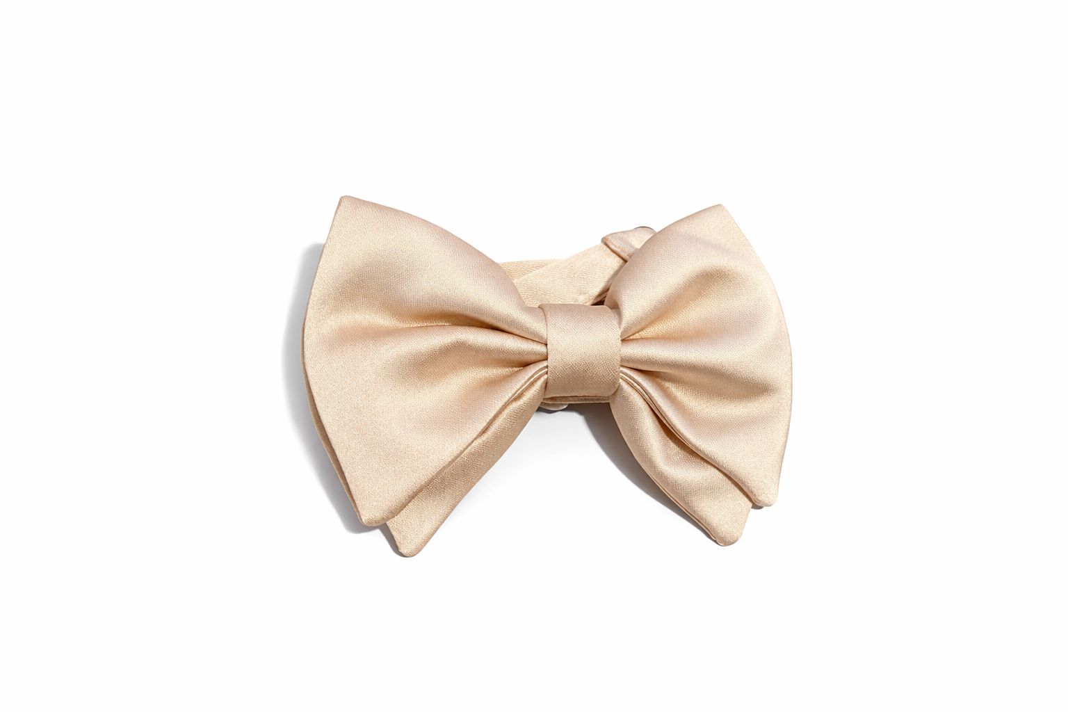 Bow Tie Champagne